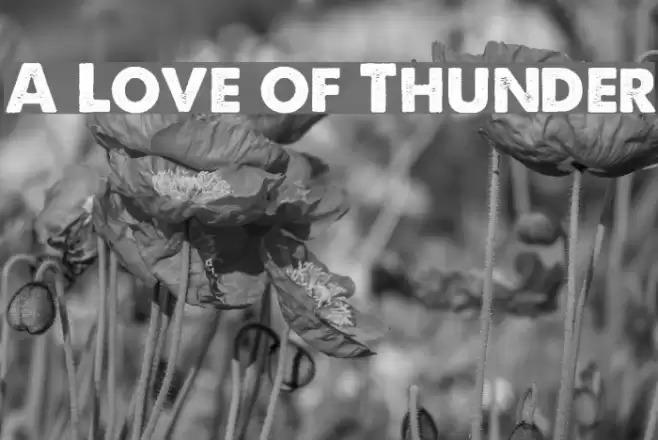 A Love of Thunder フォント examples