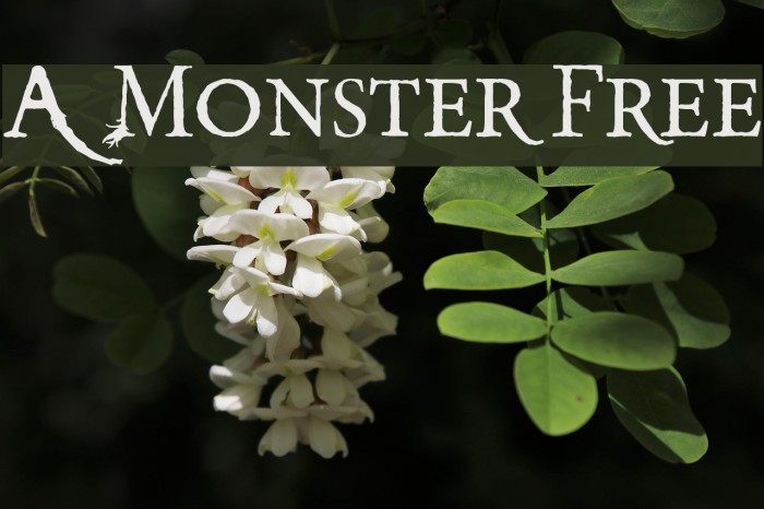 A Monster Free Font examples