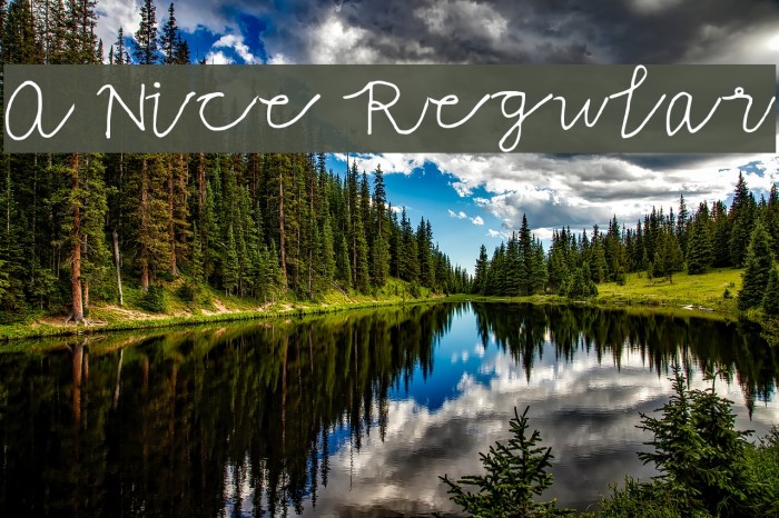 A Nice Regular Font examples