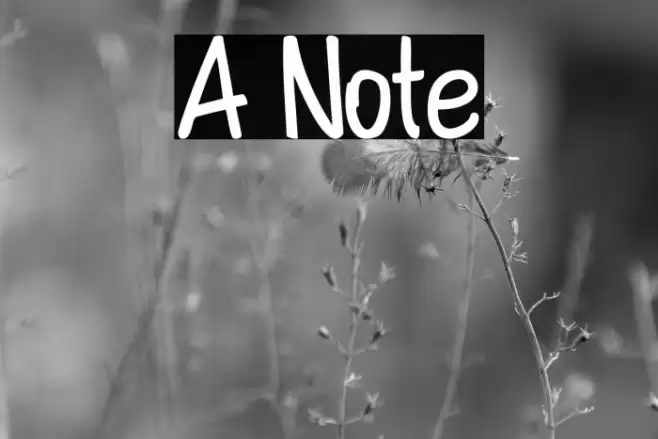 A Note Font examples