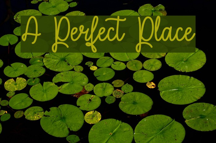 A Perfect Place फ़ॉन्ट examples