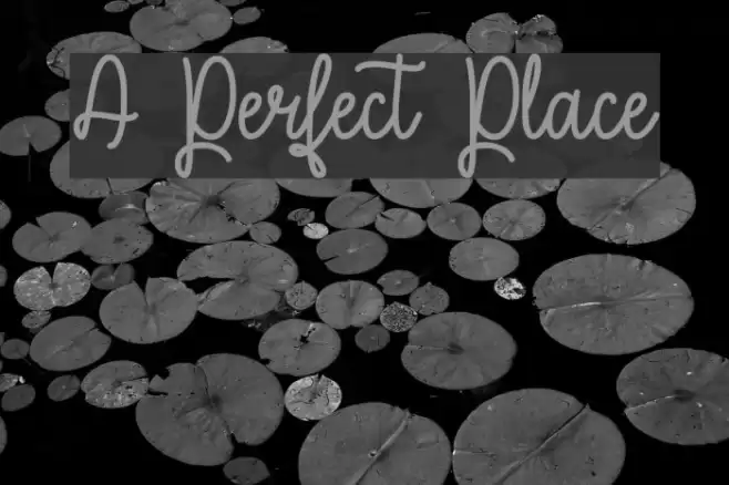 A Perfect Place Font examples