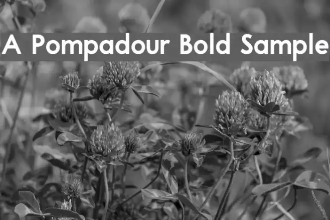 A Pompadour Bold Sample Font examples