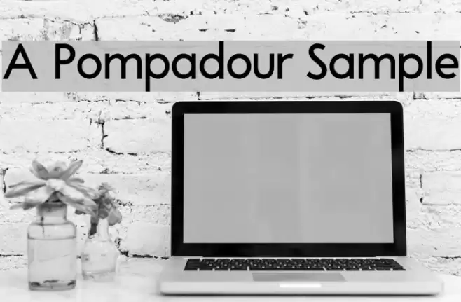 A Pompadour Sample Polices examples