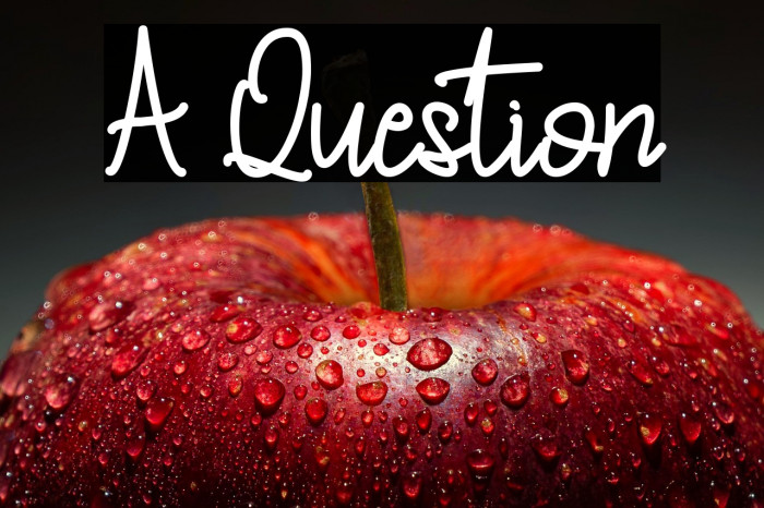 A Question Example 1