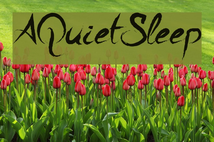 A Quiet Sleep フォント examples