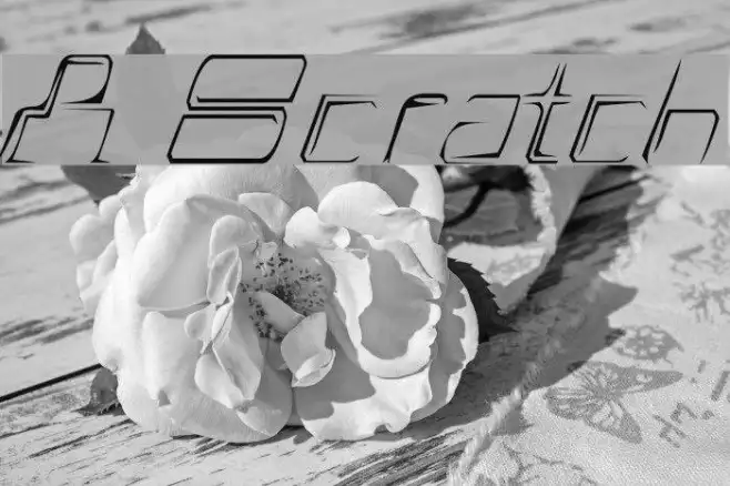 A Scratch Example 1