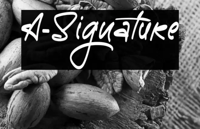 A-Signature Font examples