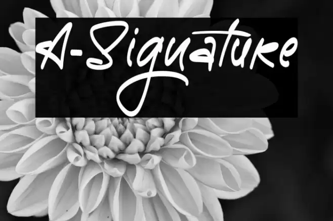 A-Signature Font examples