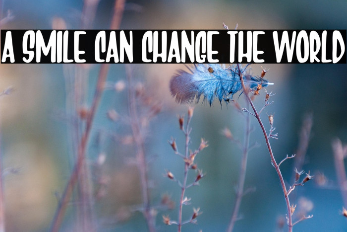 A Smile Can Change The World Example 2