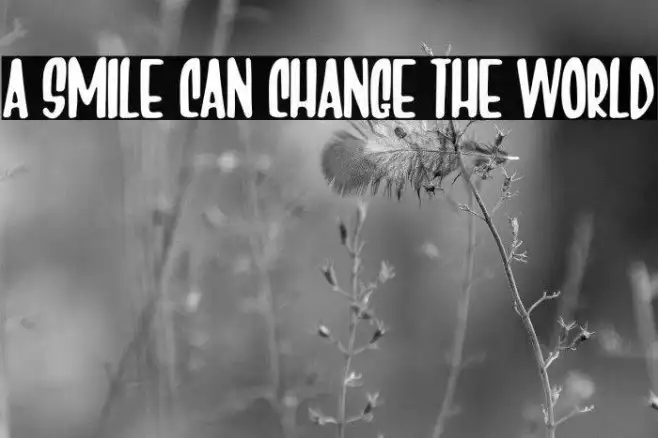 A Smile Can Change The World Example 2