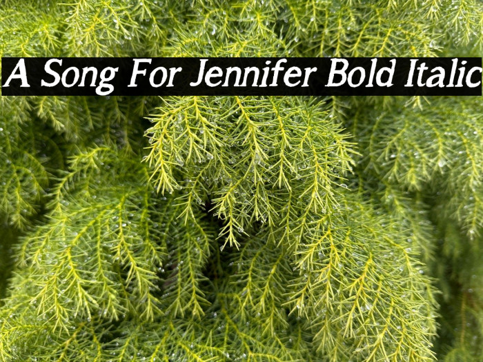A Song For Jennifer Bold Italic Example 2