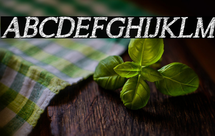 A Song for Jennifer Italic Reg Example 2