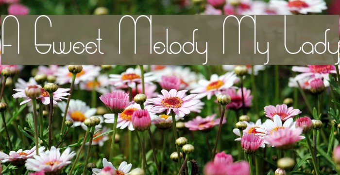 A Sweet Melody My Lady Font examples
