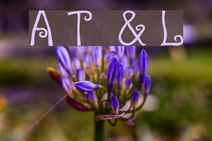 A T & Love Font examples