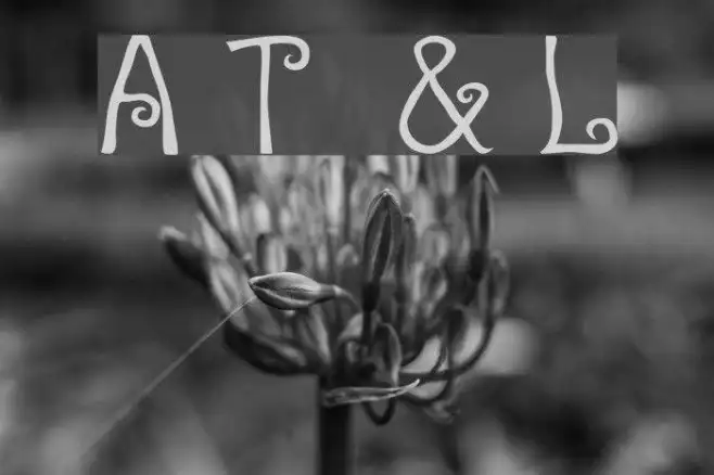 A T  & Love Example 1