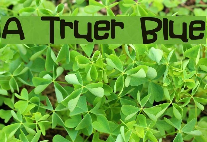 A Truer Blue Font examples