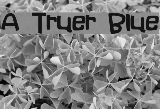 A Truer Blue Schriftart examples