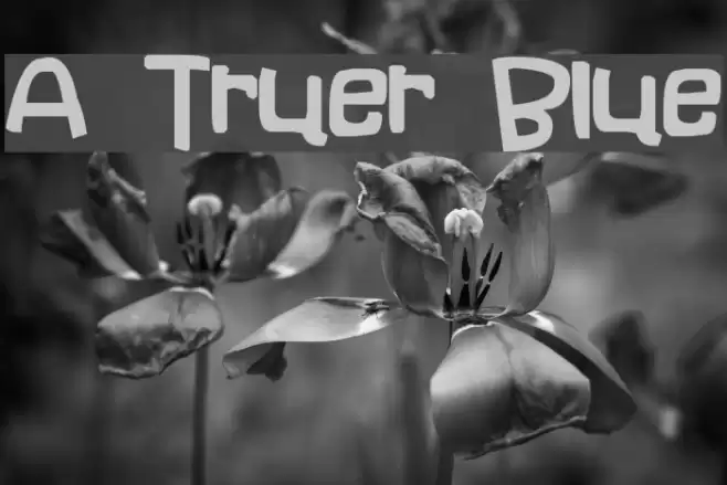 A Truer Blue Schriftart examples