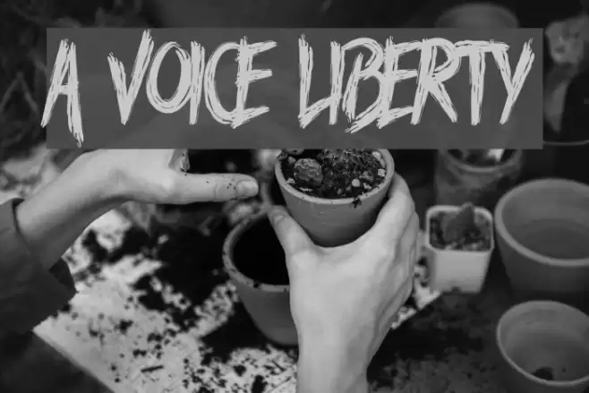 A Voice Liberty Font examples