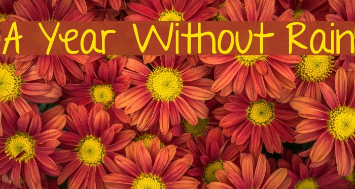 A Year Without Rain Font examples