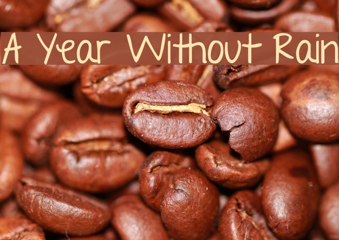 A Year Without Rain Font examples