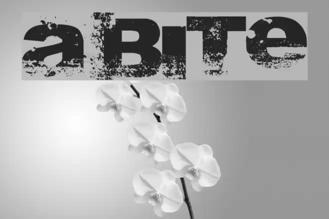 A bite Font examples