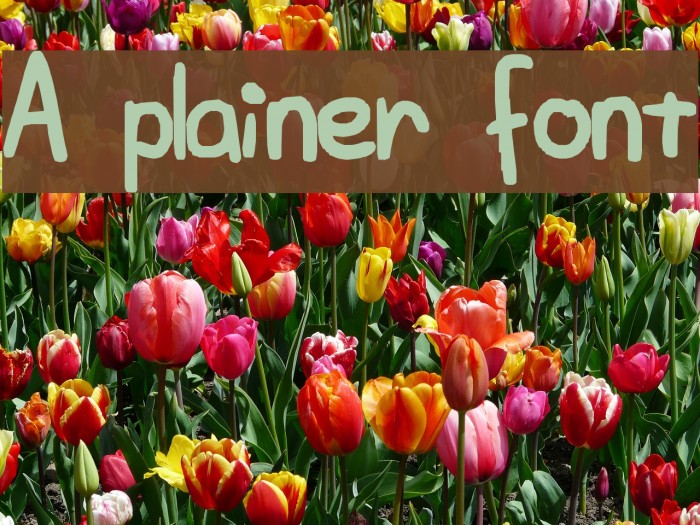 A plainer font Font examples