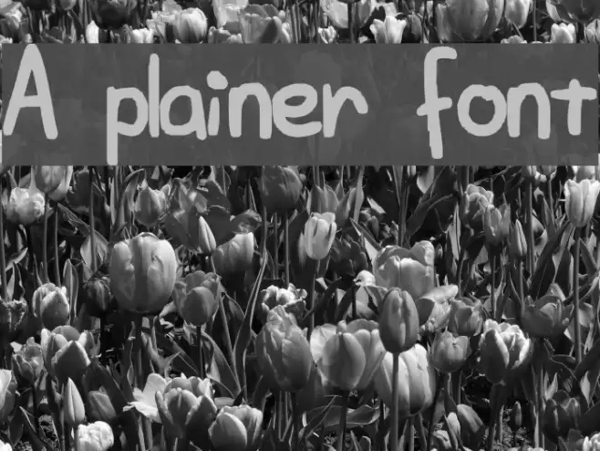 A plainer font Font examples