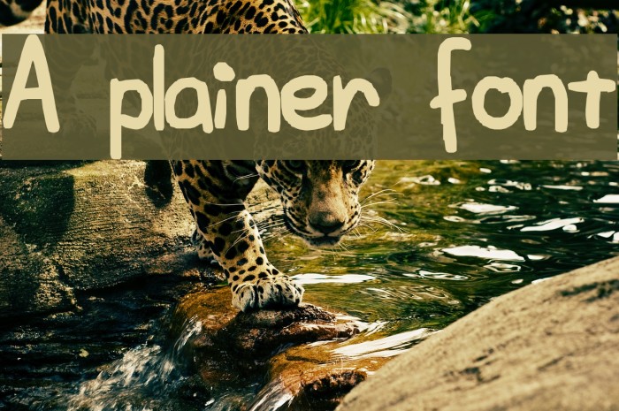 A plainer font Font examples