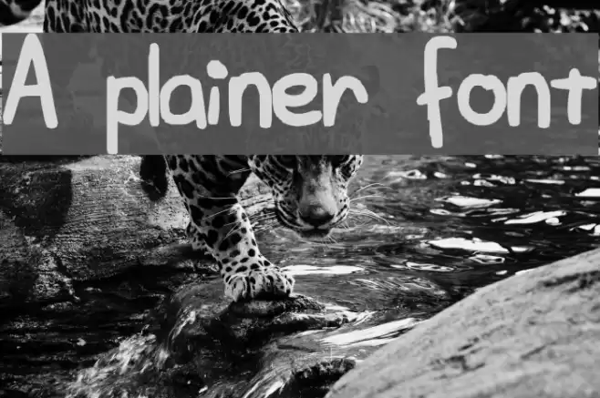 A plainer font Font examples