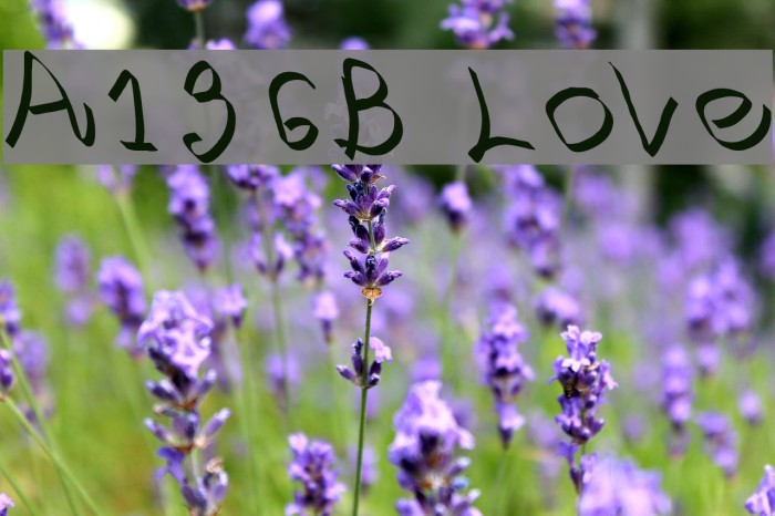 A136B Love Font examples