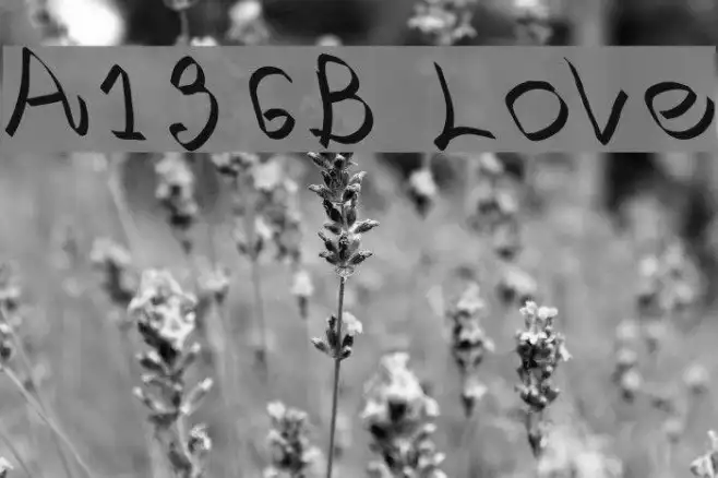 A136B Love Example 3