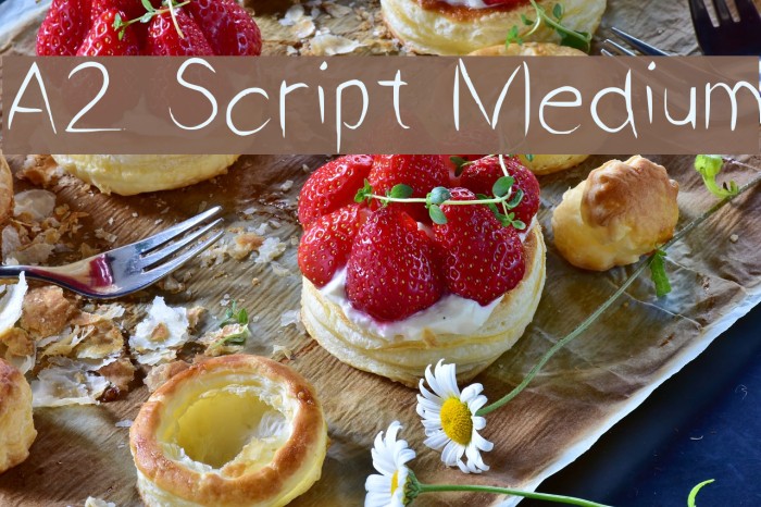 A2 Script Medium Fuentes examples