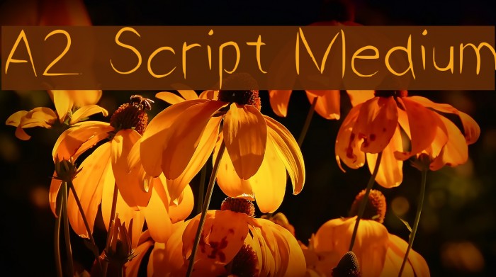 A2 Script Medium Fuentes examples