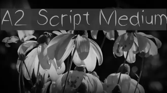 A2 Script Medium Fuentes examples