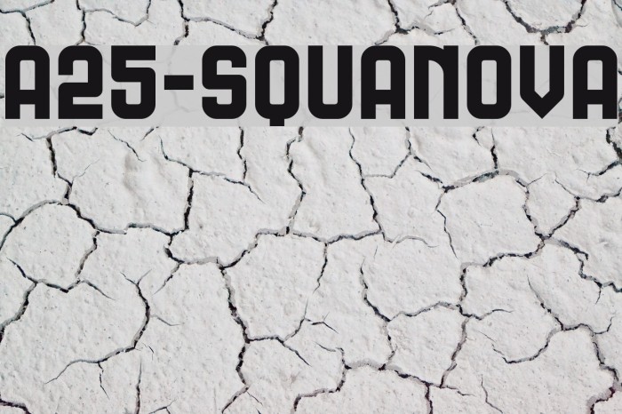 A25-SQUANOVA Font examples