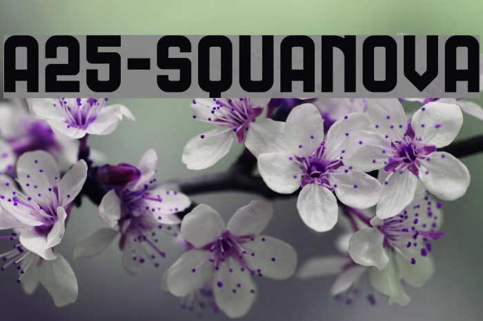 A25-SQUANOVA Font examples