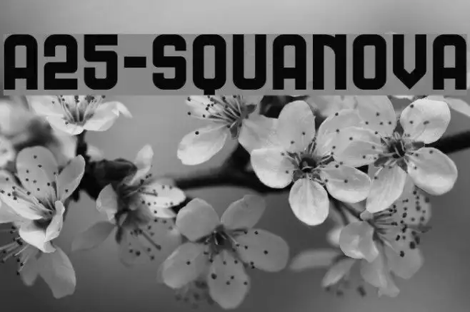 A25-SQUANOVA Example 3