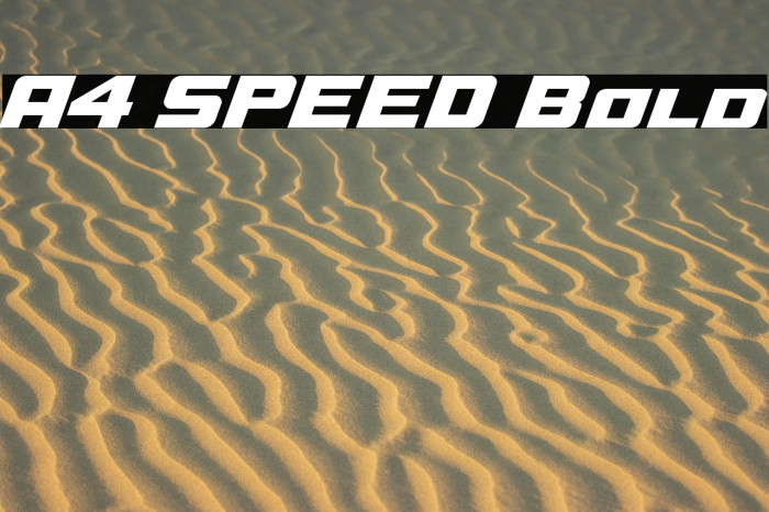 A4 SPEED Bold Example 3