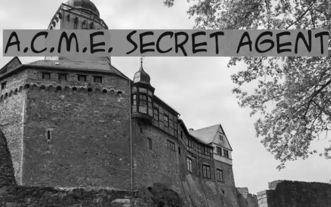 A.C.M.E. Secret Agent Font examples