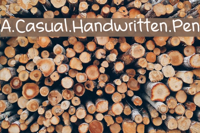 A.Casual.Handwritten.Pen Font examples