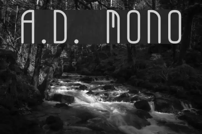 A.D. MONO Шрифта examples