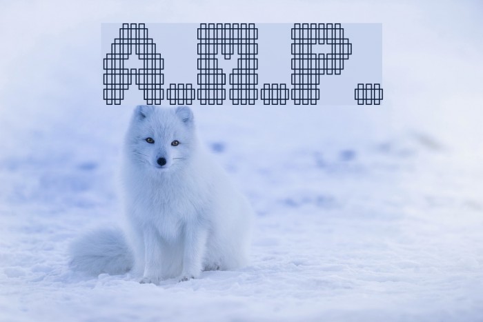 A.M.P. Font examples