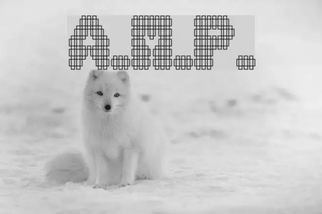 A.M.P. Example 2