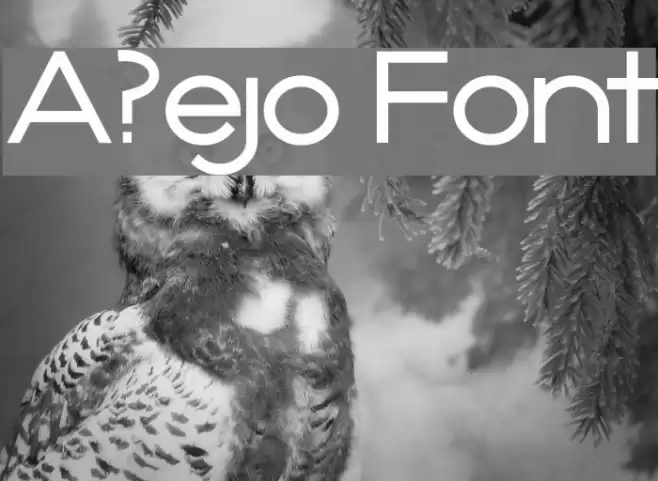 A?ejo Font examples