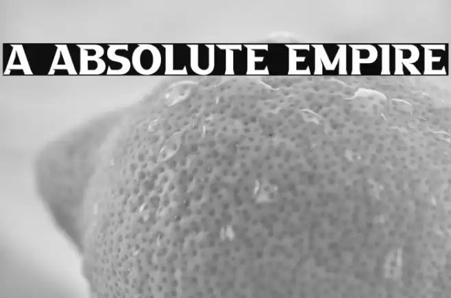 a Absolute Empire Polices examples