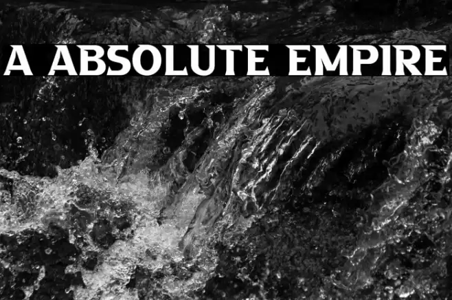 a Absolute Empire Polices examples