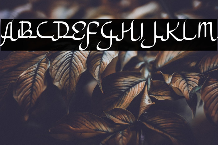 a Ahlan Wasahlan Example 3