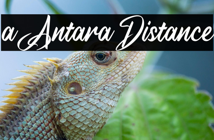 a Antara Distance Example 2